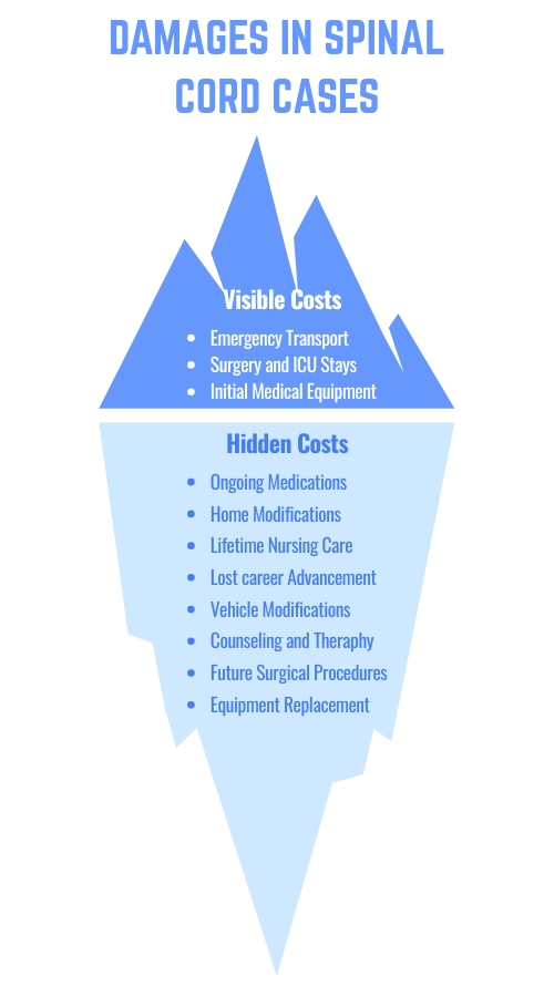Iceberg graphic detailing visible and hidden spinal cord injury costs.