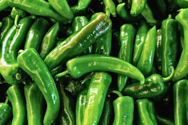 Active Investigations 4 Jalapeño Salmonella Outbreak Lawsuit