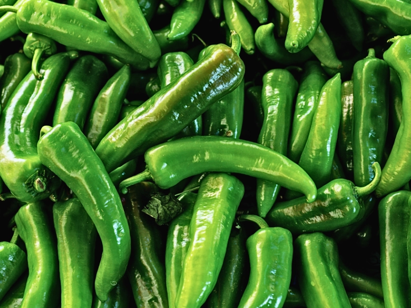Fresh green chili peppers piled together.