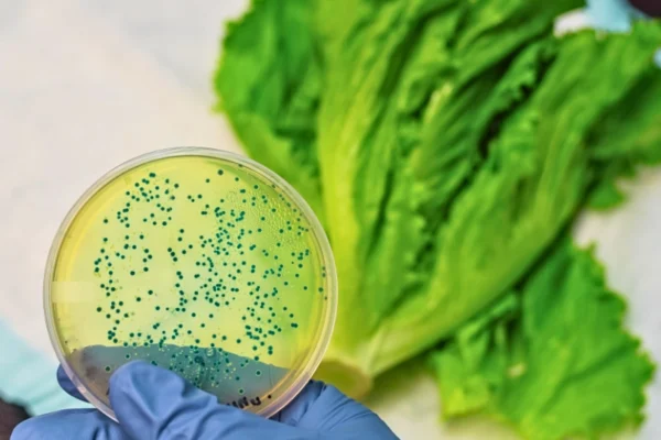 Active Investigations 5 Taylor Farms Cyclospora Lettuce Outbreak Lawsuit